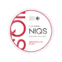 NIQS Watermelon Rush